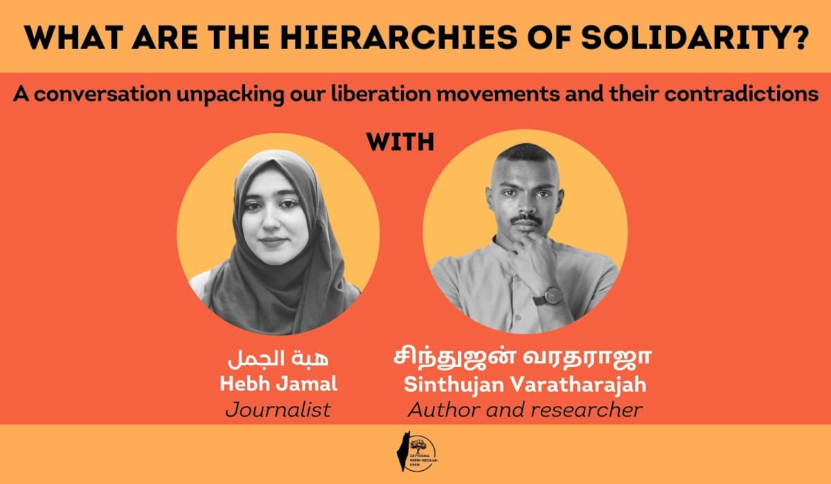 Zine: Hierarchies of Solidarity