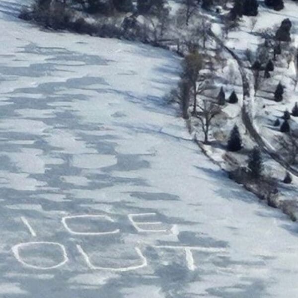 “Dispatch, Please Advise!”