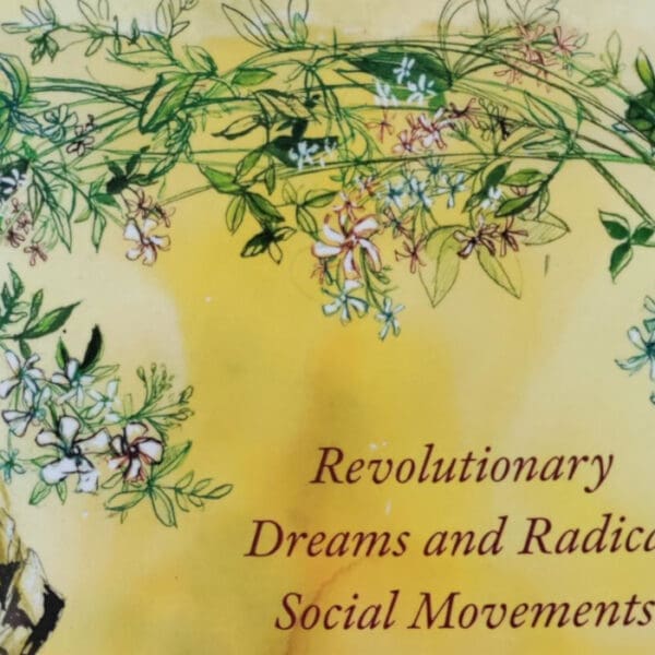 Searching for Solidarity